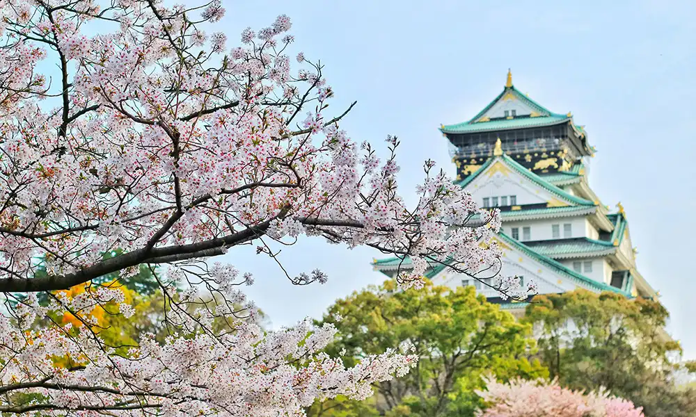 The best trip to Asia