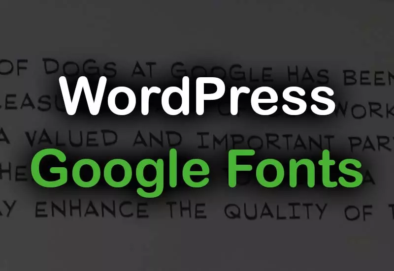 Add And Enqueue a Google Font To WordPress with plugin and manually